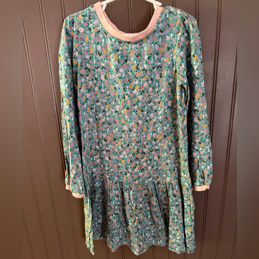 Hanna Andersson Floral Long Sleeve Kids Dress
